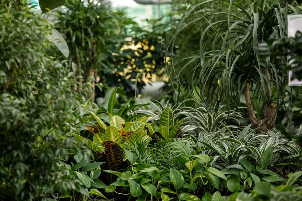 Allestimenti e interiorscaping per aziende e negozi