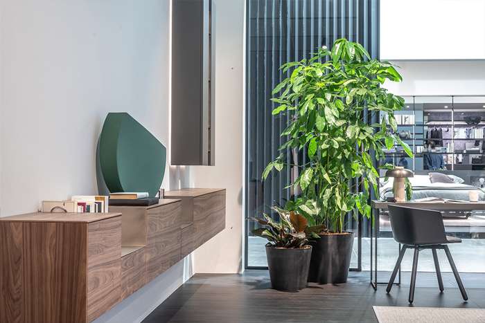 Allestimenti e interiorscaping per aziende e negozi